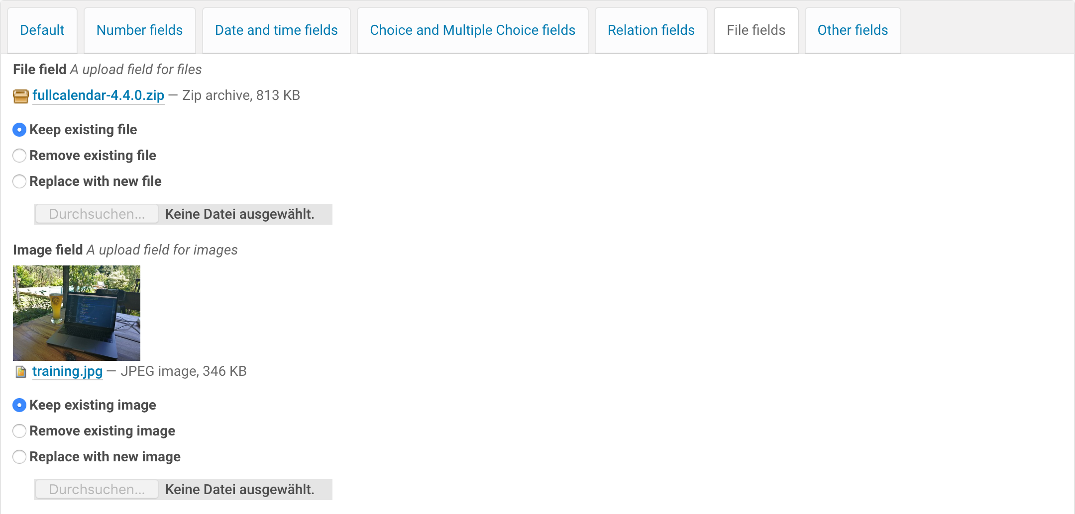 File fields